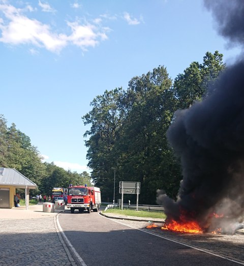 DSC_0151 zugeschnitten groß.jpg